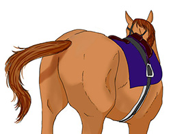 図９-１ フケになると尻尾を振っている馬が多い