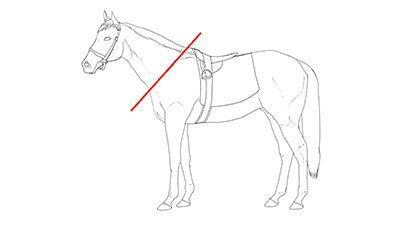 図３-５ オールマイティタイプ