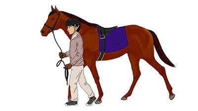 図６-１ 理想的な馬と曳き手の関係