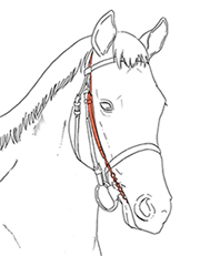 図４-３ ガムチェーン