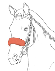 シャドーロール