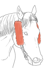 チークピーシズ