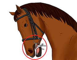 舌を縛っている例