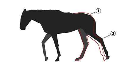 ①が通常の状態。②はトモが流れている状態。