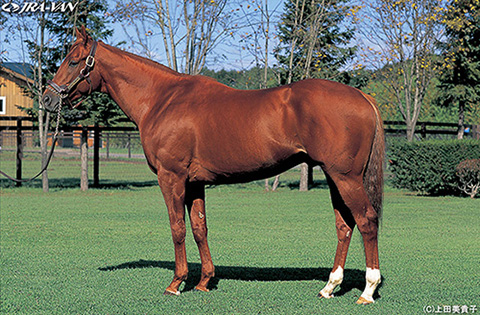 アグネスタキオン