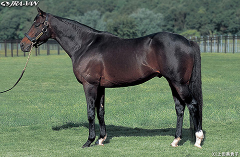 ディープインパクト