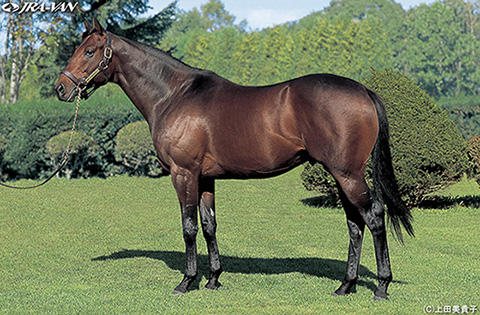 キングカメハメハ