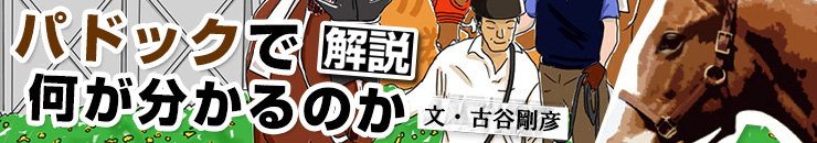 パドックで何が分かるのか