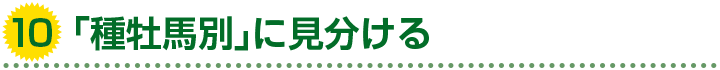 10.「種牡馬別」に見分ける