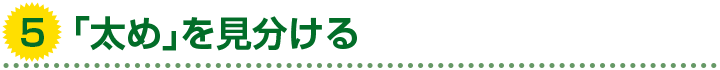 5. 「太め」を見分ける
