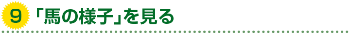 9. 「馬の様子」を見る