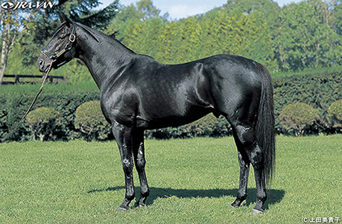 シンボリクリスエス